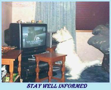  Forwarded by brother Jim 